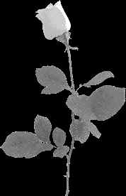 wpeD.jpg (5107 bytes)